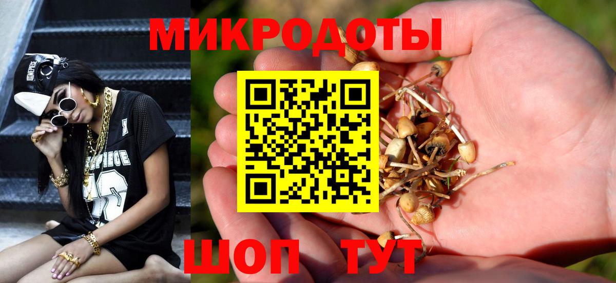Псилоцибиновые грибы Psilocybine cubensis  Вход с VPN  Кисловодск 