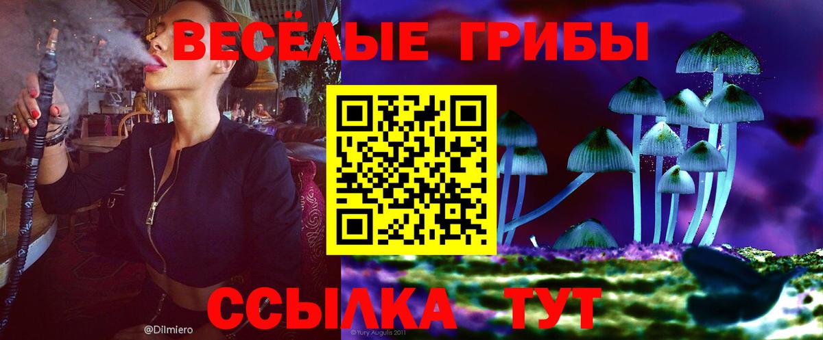 Псилоцибиновые грибы ЛСД Кисловодск
